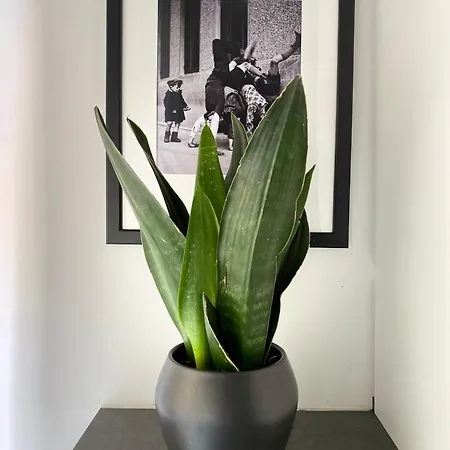 Casettadellafotografia * Senigallia