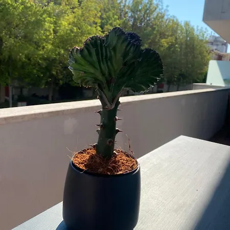 Casettadellafotografia Senigallia