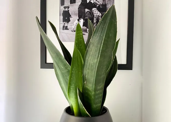 Casettadellafotografia * Senigallia