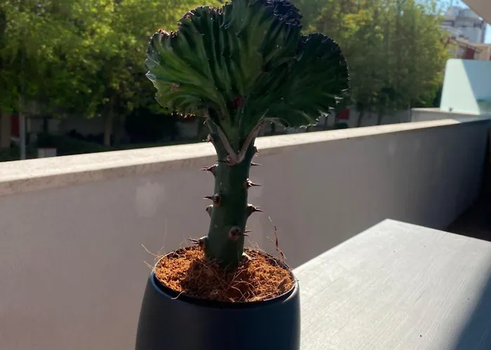 Casettadellafotografia Senigallia